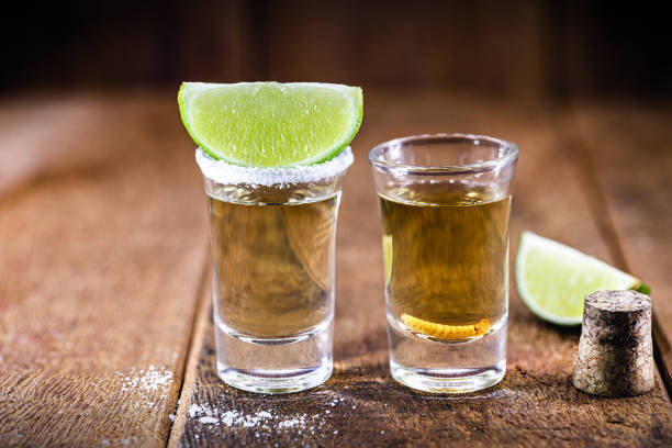 SHOTLAR